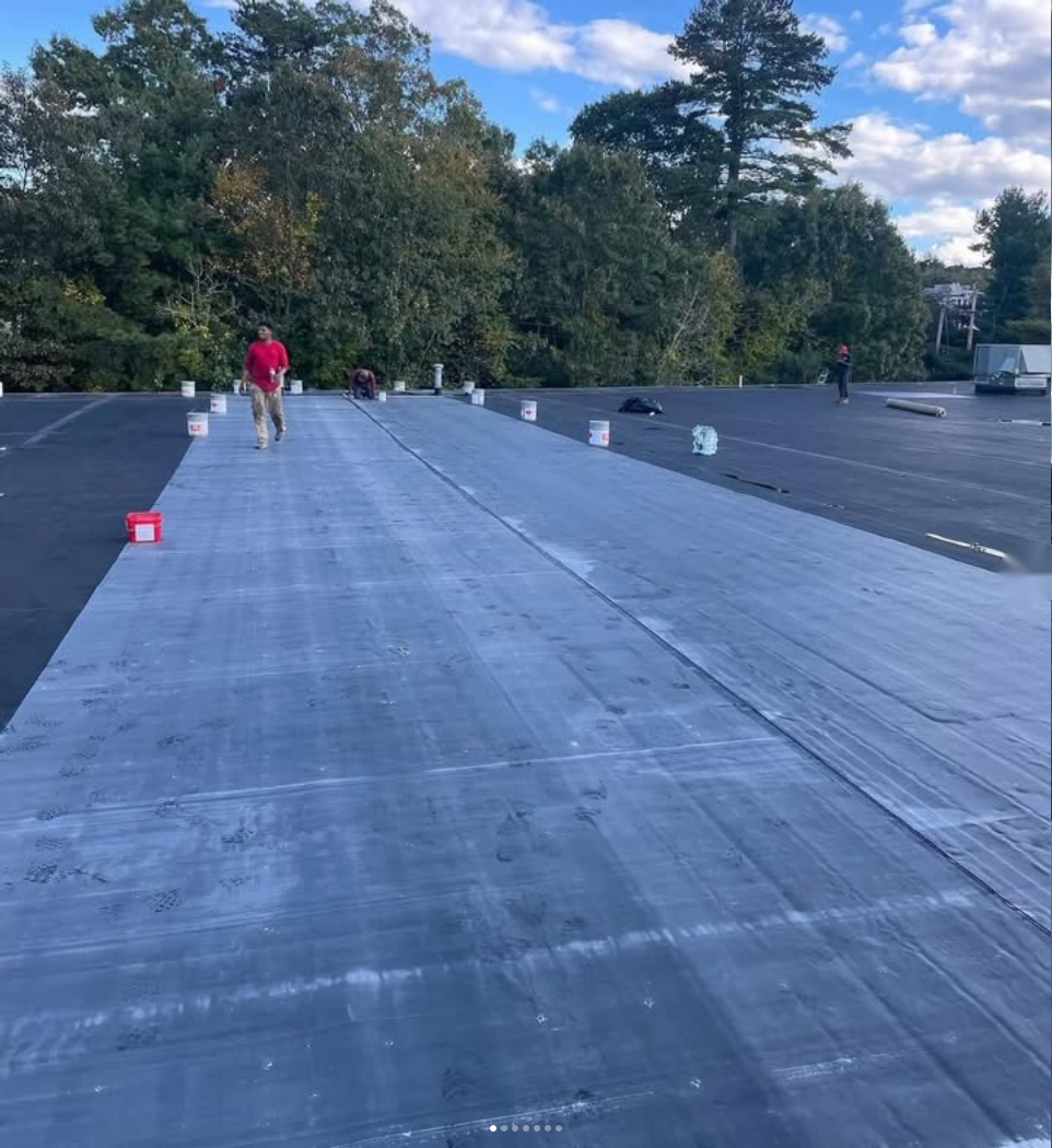 Roof Maintenance